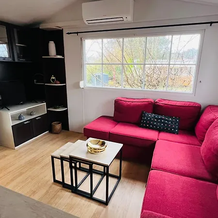 Mh J08 La Siblu Kemp *